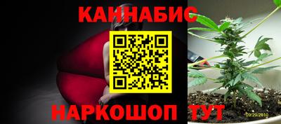 прущие крисы Гусев