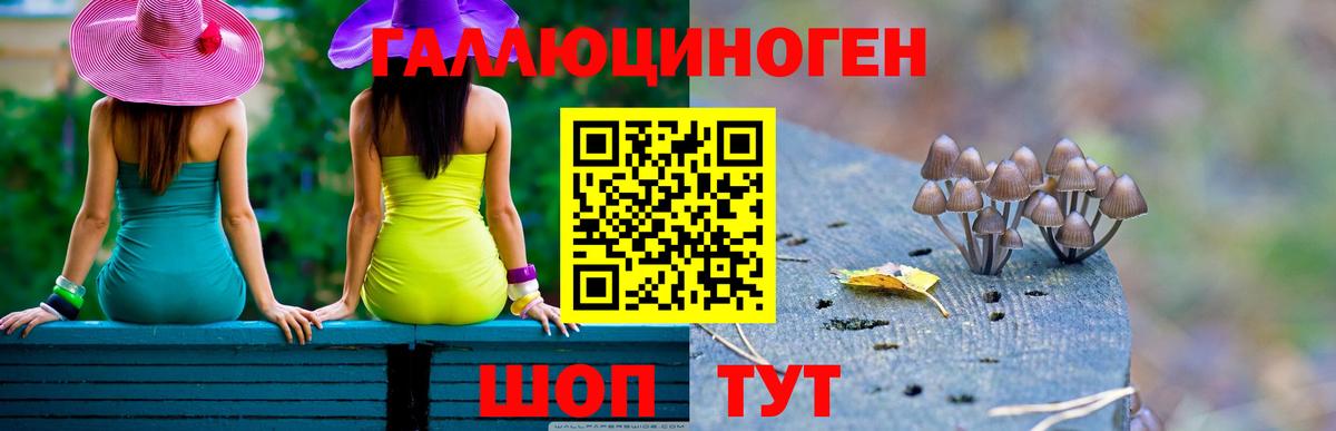 Балашиха  Галлюциногенные грибы GOLDEN TEACHER  Вход с VPN 